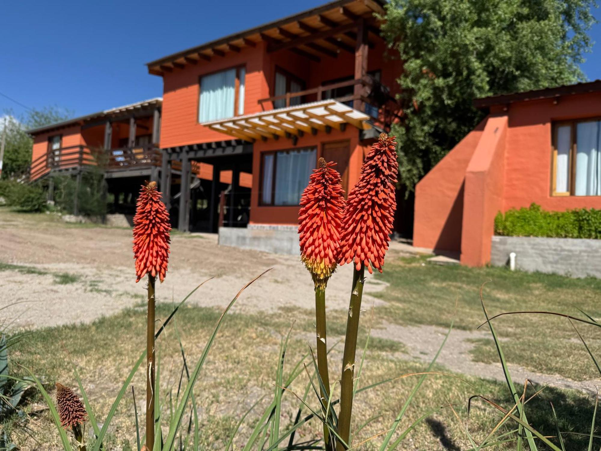 Cabana El Churqui Tafí del Valle Eksteriør billede